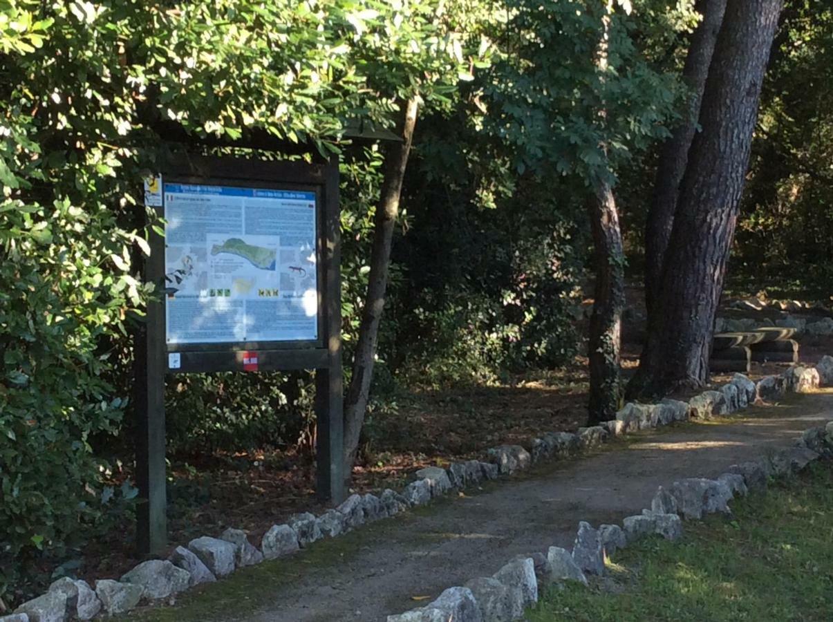 Casa Vacanze All'Orizzonte Duino Bagian luar foto